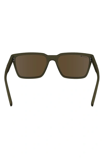 Shop Lacoste 56mm Rectangular Sunglasses In Brown/ Khaki