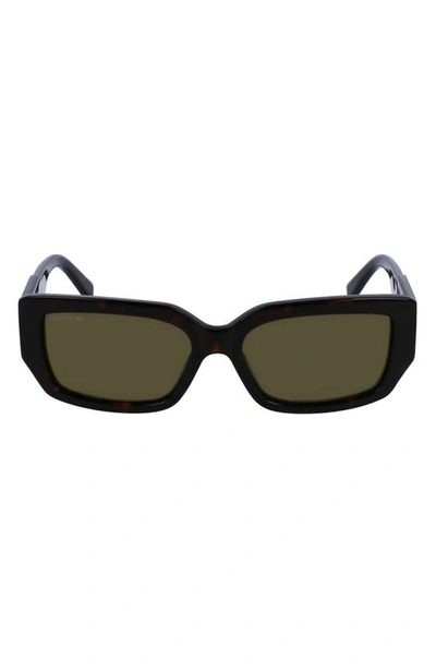 Shop Lacoste 55mm Rectangular Sunglasses In Havana