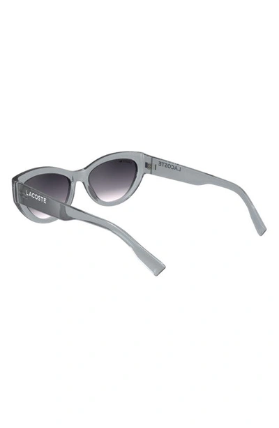 Shop Lacoste Sport 54mm Cat Eye Sunglasses In Transparent Grey