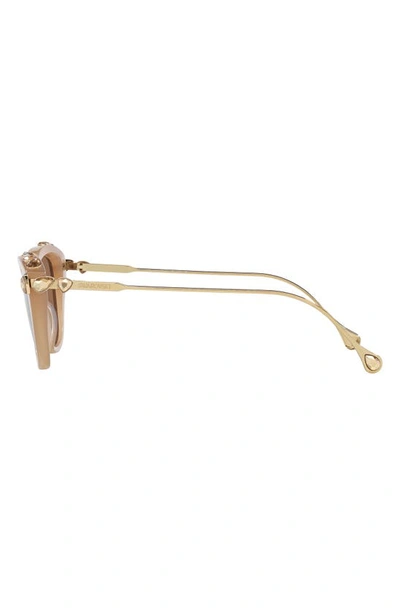 Swarovski 55mm Cat Eye Sunglasses In Beige