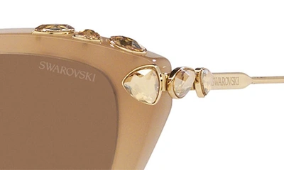 Swarovski 55mm Cat Eye Sunglasses In Beige