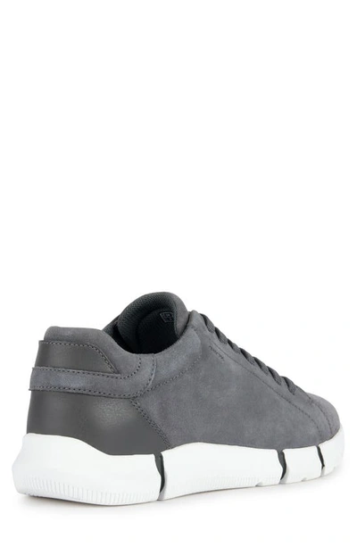 Shop Geox Adacter Sneaker In Dark Stone