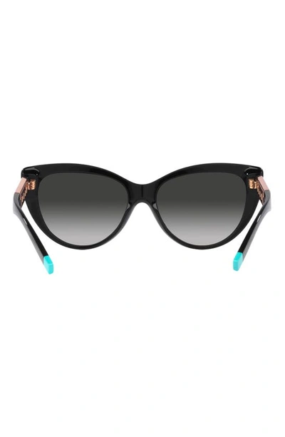 Tiffany & Co 56mm Gradient Cat Eye Sunglasses In Black