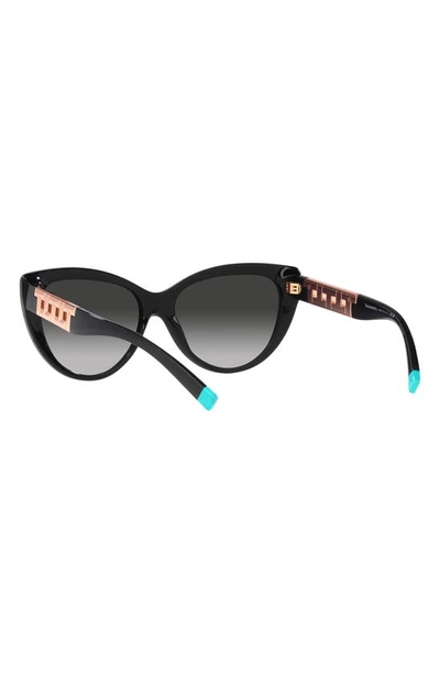 Tiffany & Co 56mm Gradient Cat Eye Sunglasses In Black