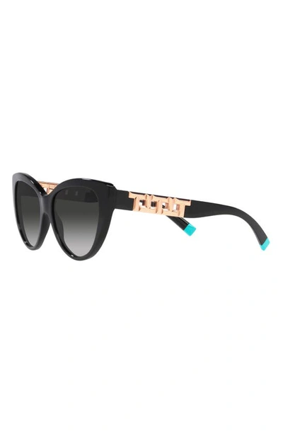 Tiffany & Co 56mm Gradient Cat Eye Sunglasses In Black