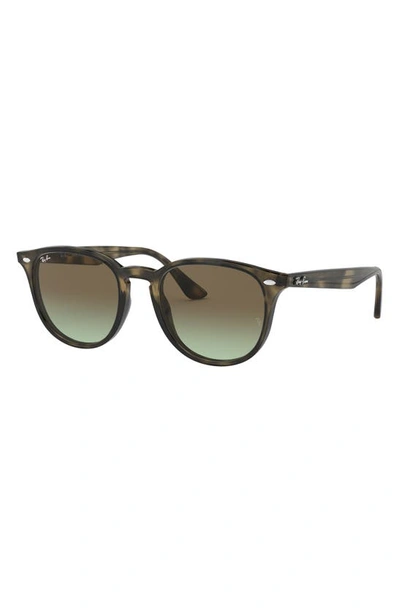 Ray Ban Ray In Green Havana