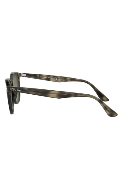 Ray Ban Ray In Green Havana