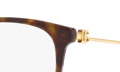 Shop Dolce & Gabbana 54mm Butterfly Optical Glasses In Havana