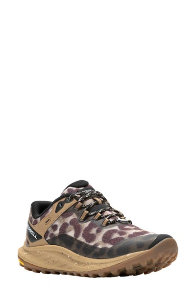 Shop Merrell Antora 3 Trail Running Sneaker In Sepia Leopard