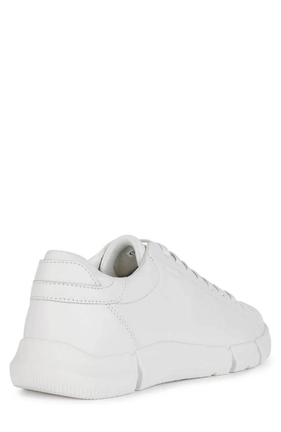 Shop Geox Adacter Sneaker In White