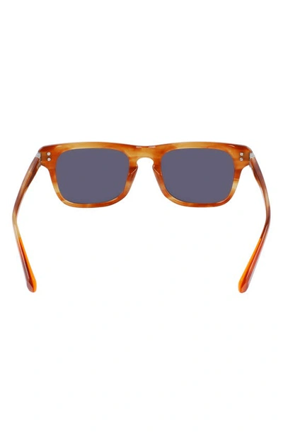 Shop Shinola 52mm Modified Rectangular Sunglasses In Amber Horn