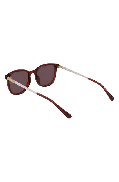 Shop Shinola 52mm Round Sunglasses In Crystal Rosewood