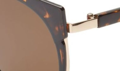 Shop Bp. 55mm Cat Eye Sunglasses In Tort- Gold