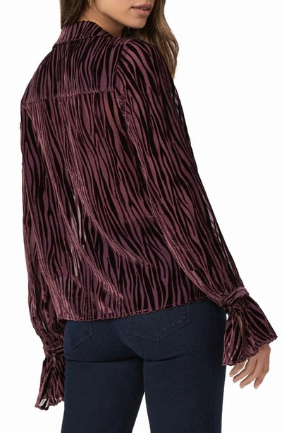 Paige Benet Velvet Devore Top In Aubergine