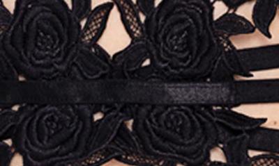 Roma Confidential Ebony Rose Underwire Teddy In Black