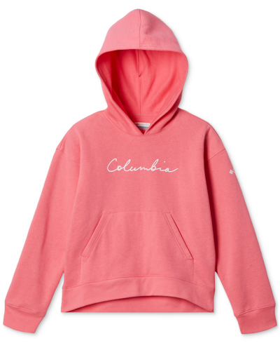 Shop Columbia Big Girls Trek Novelty Hoodie Sweatshirt In Camellia Rose