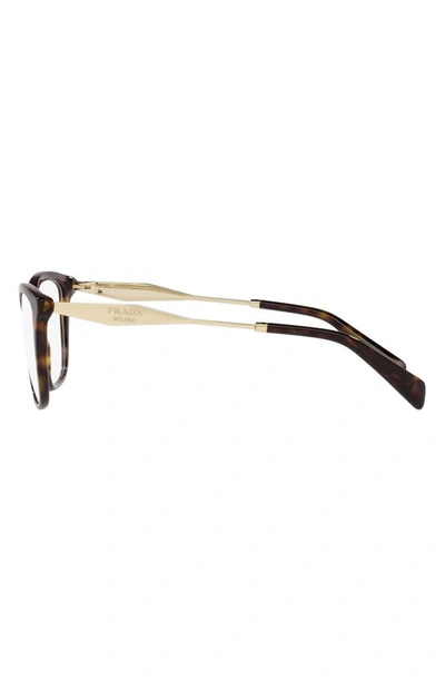 Prada 56mm Butterfly Optical Glasses In Tortoise