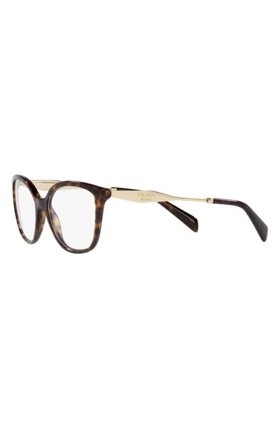 Prada 56mm Butterfly Optical Glasses In Tortoise