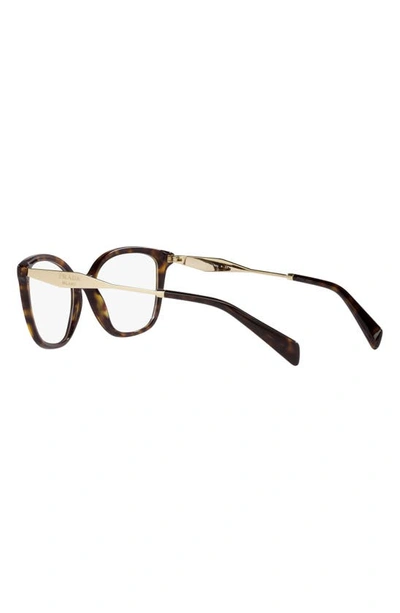 Prada 56mm Butterfly Optical Glasses In Tortoise