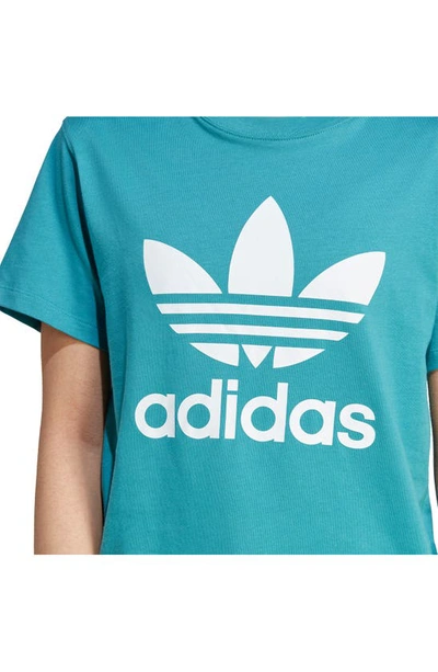 Shop Adidas Originals Trefoil Cotton Graphic T-shirt In Arctic Fusion