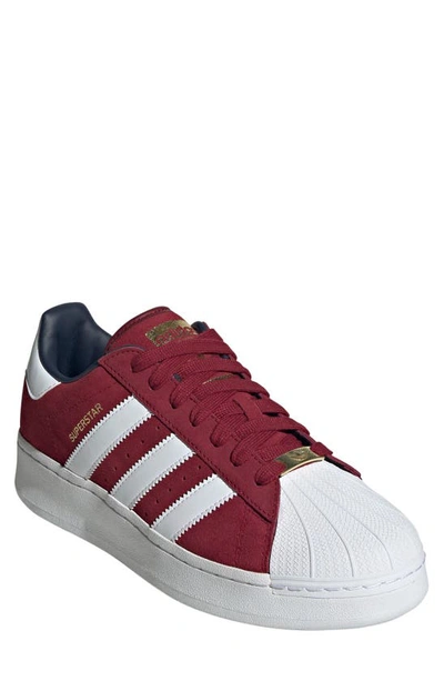 Adidas Originals Superstar Xlg Sneaker In Collegiate Burgundy/cream White/cloud  White | ModeSens