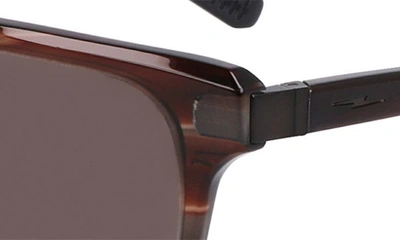 Shop Shinola 52mm Modified Rectangular Sunglasses In Rosewood/ Taupe Horn