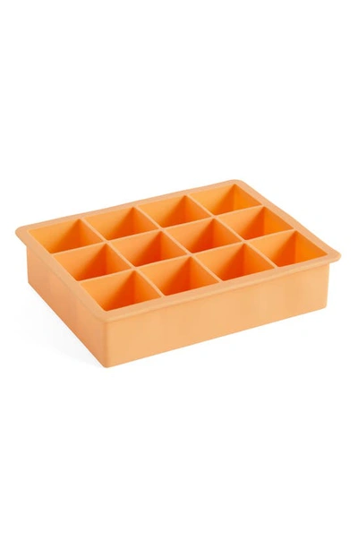 Shop Hay Silicone Ice Cube Tray In Peach