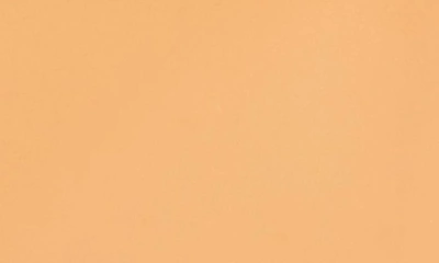Hay 12-cube Ice Cube Tray In Peach