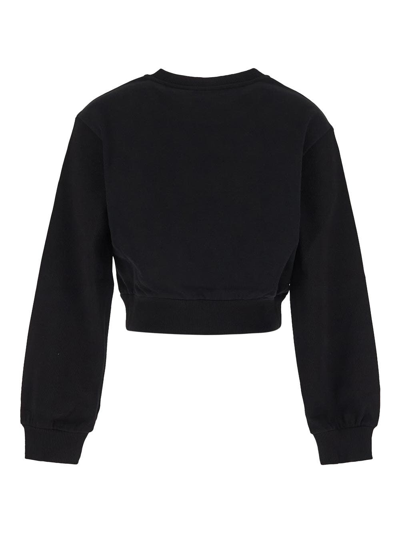 Shop Dolce & Gabbana Animalier Logo Cropped Sweatshirt In Black