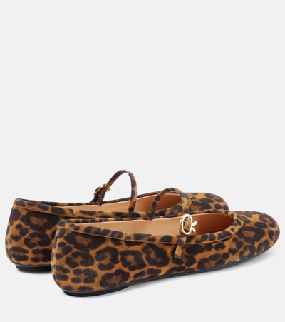 Shop Gianvito Rossi Carla Leopard-print Suede Ballet Flats In Multicoloured