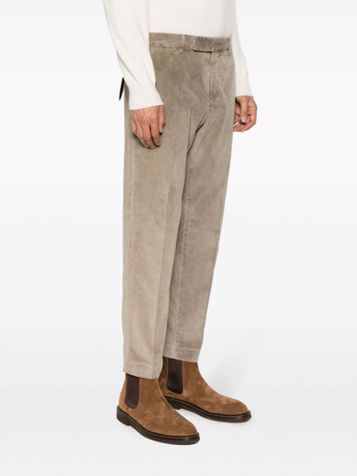 Shop Pt01 Rebel Stretch Velvet Trousers In Grey