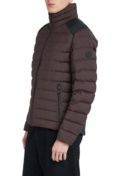 Shop The Recycled Planet Company Stad Water Resistant Down Puffer Jacket In Dark Coffee