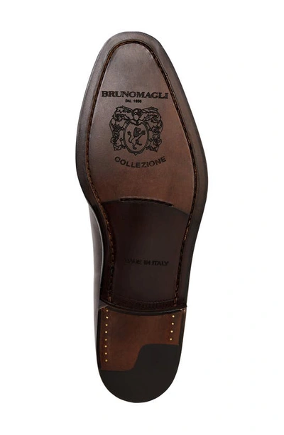 Shop Bruno Magli Collezione Veleno Wholecut Shoe In Brown