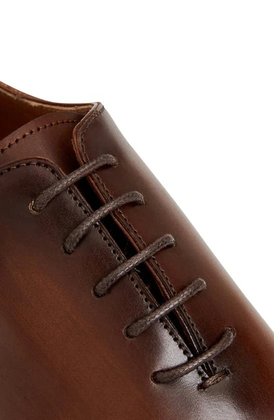 Shop Bruno Magli Collezione Veleno Wholecut Shoe In Brown