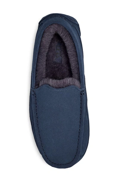 Shop Ugg Ascot Slipper In Deep Ocean