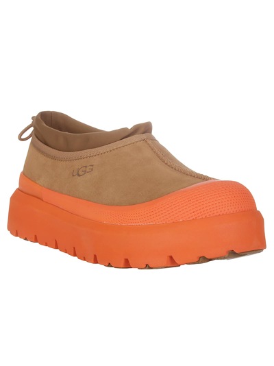 Shop Ugg M Tasman Weather Hybrid In Cton