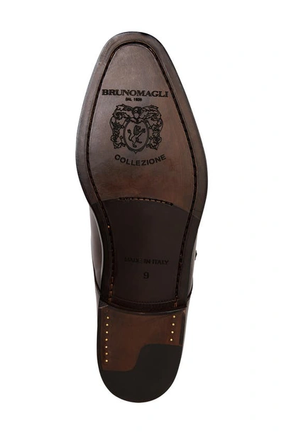 Shop Bruno Magli Vilante Monk Strap Shoe In Brown