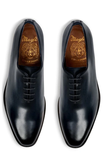 Shop Bruno Magli Veleno Wholecut Shoe In Navy