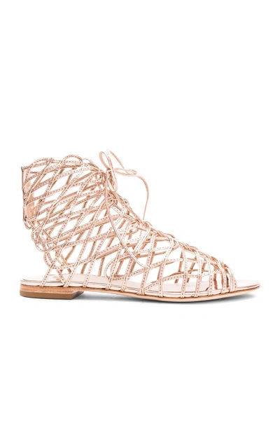 Shop Sophia Webster Delphine Gladiator In Gold