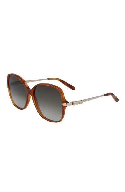 Shop Ferragamo 57mm Gradient Rounded Square Sunglasses In Tortoise/ Khaki