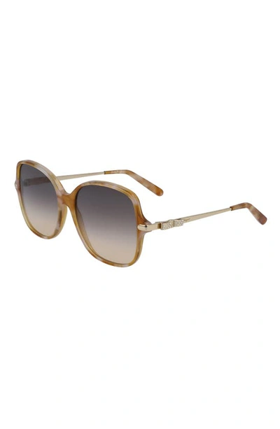 Shop Ferragamo 57mm Gradient Rounded Square Sunglasses In Blonde Havana/ Grey Peach