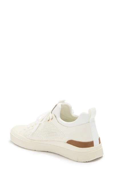 STEVE MADDEN STEVE MADDEN PYPER SNEAKER 