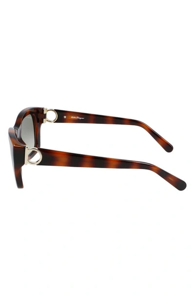 Shop Ferragamo 53mm Rectangular Sunglasses In Tortoise/ Khaki