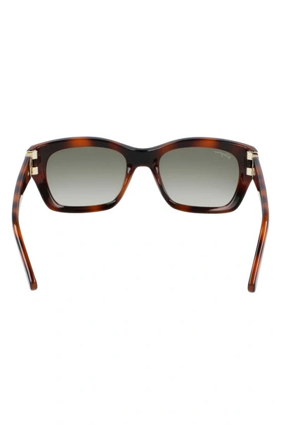 Ferragamo 53mm Rectangular Sunglasses In Brown