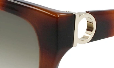 Shop Ferragamo 53mm Rectangular Sunglasses In Tortoise/ Khaki
