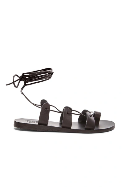 Shop Ancient Greek Sandals Leather Alcyone Sandals In Black