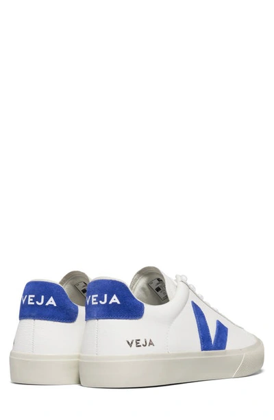 Shop Veja Campo Sneaker In Extra-white Paros