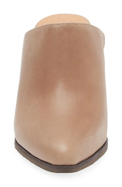 Chocolat Blu Emery Pointed Toe Mule In Taupe Leather