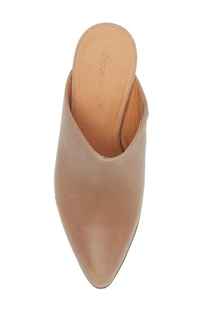 Chocolat Blu Emery Pointed Toe Mule In Taupe Leather