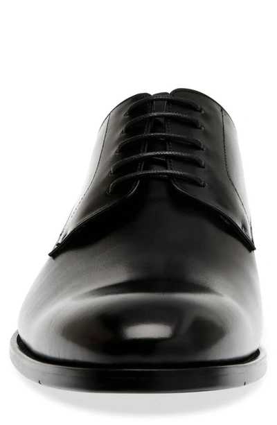 Steve Madden Daedric Derby In Black Leather